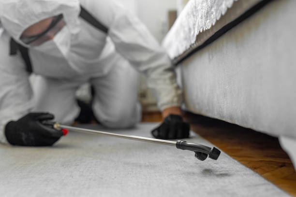 Professional Pest Control technician working in Boone County County, AR